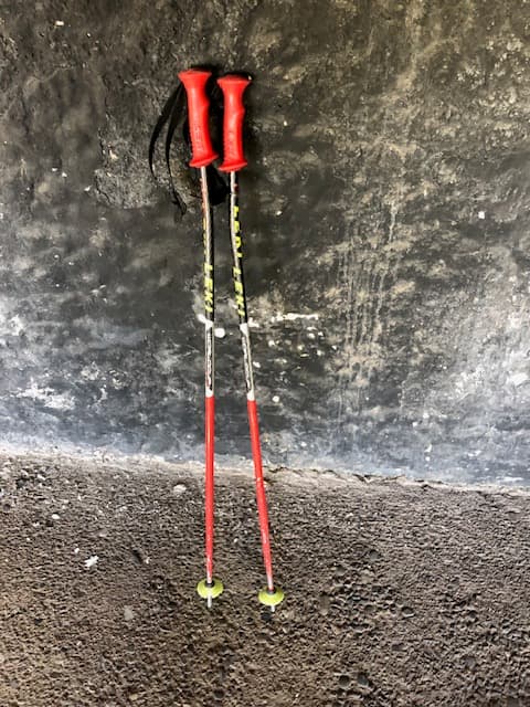 Bastones leki worlcup